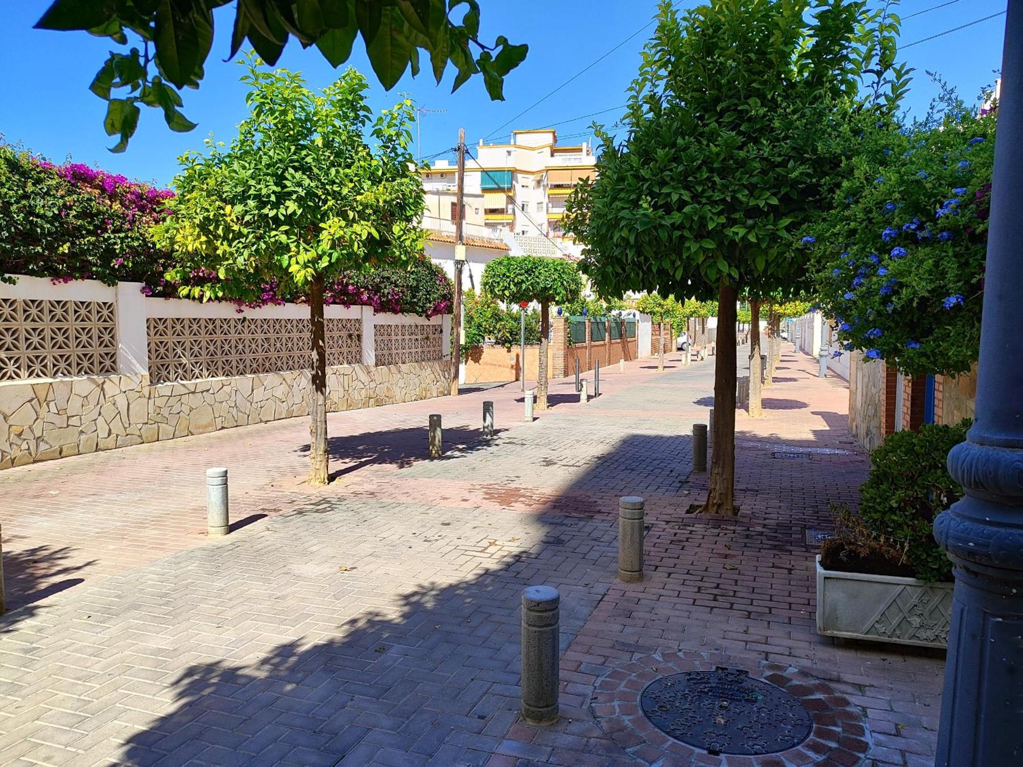 נרחה Calle Dr Ferran 6 - Eurosur מראה חיצוני תמונה